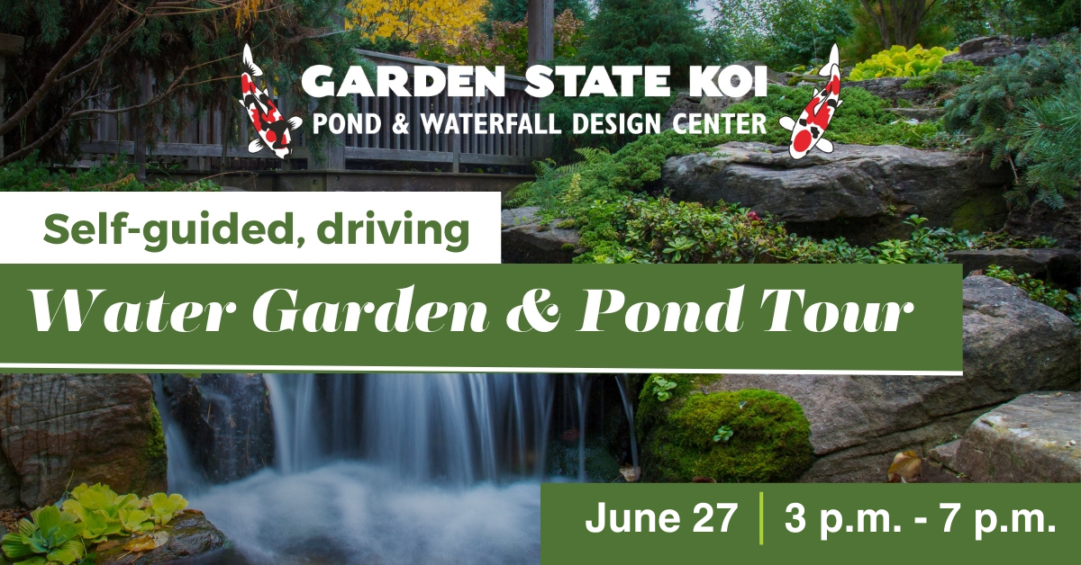 Water Garden & Pond Tour