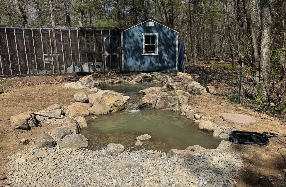 Finished ecosystem pond with waterfall and rockwork