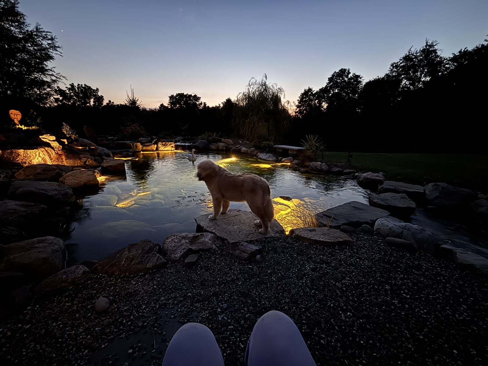 Greg and Dixie's 20' x 30' Recreational Pond with natural stone edging behind their Warwick, NY home