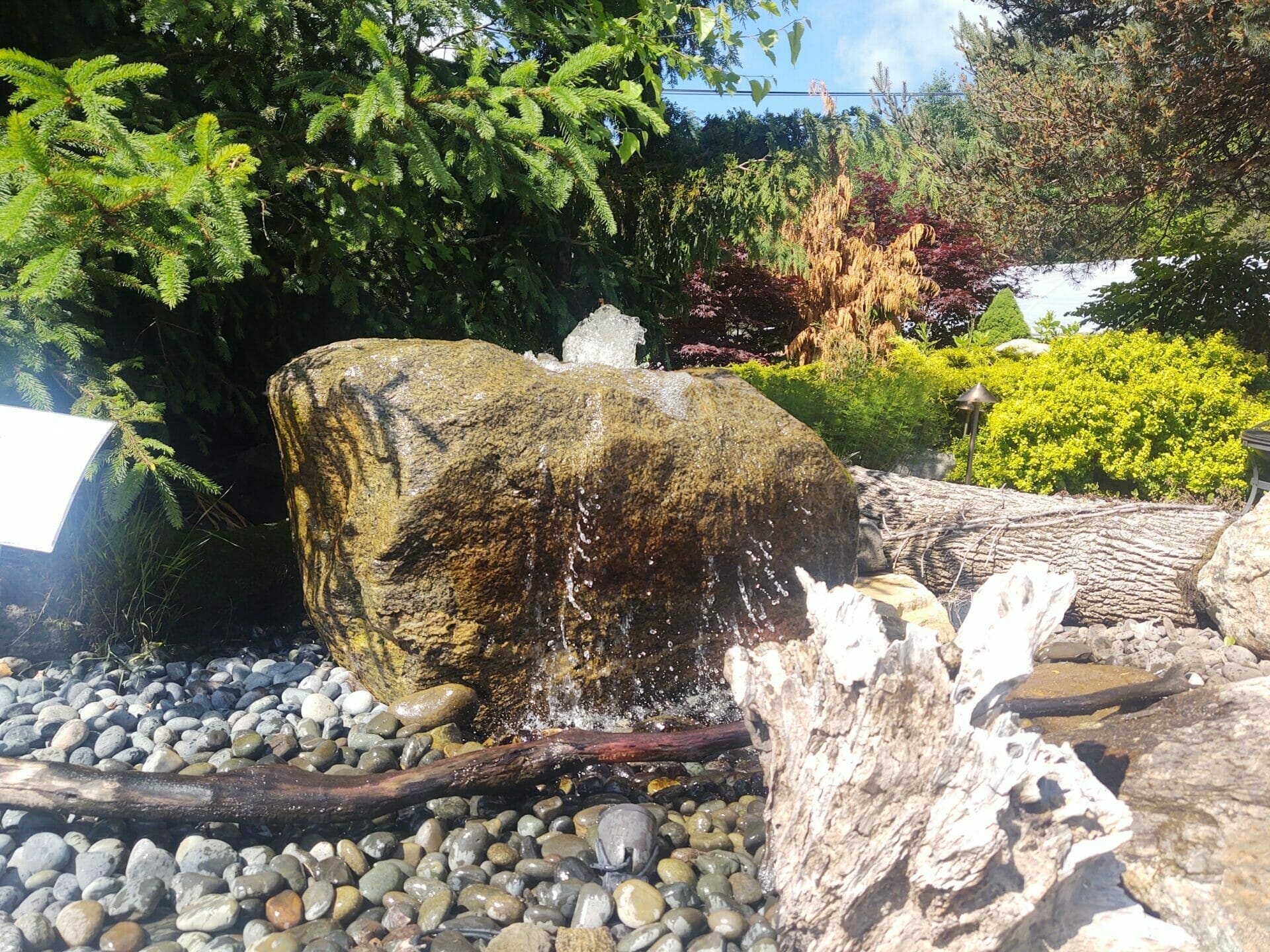Koi pond with a large feature boulder and weathered driftwood accent