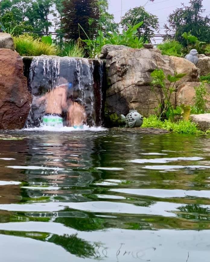 Garden State Koi technician performing pond maintenance