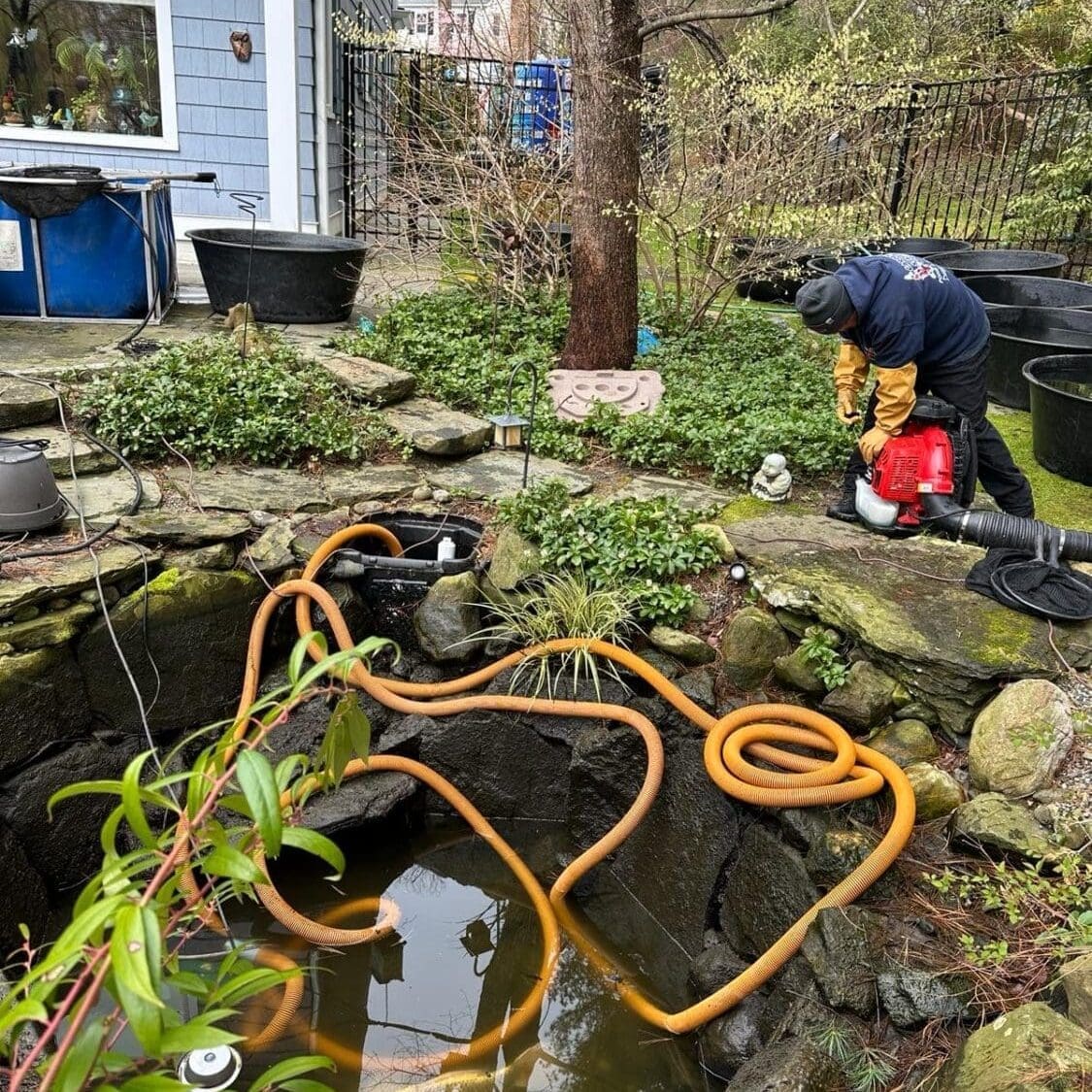 Pond drained down for a full drain and clean service with hoses in place