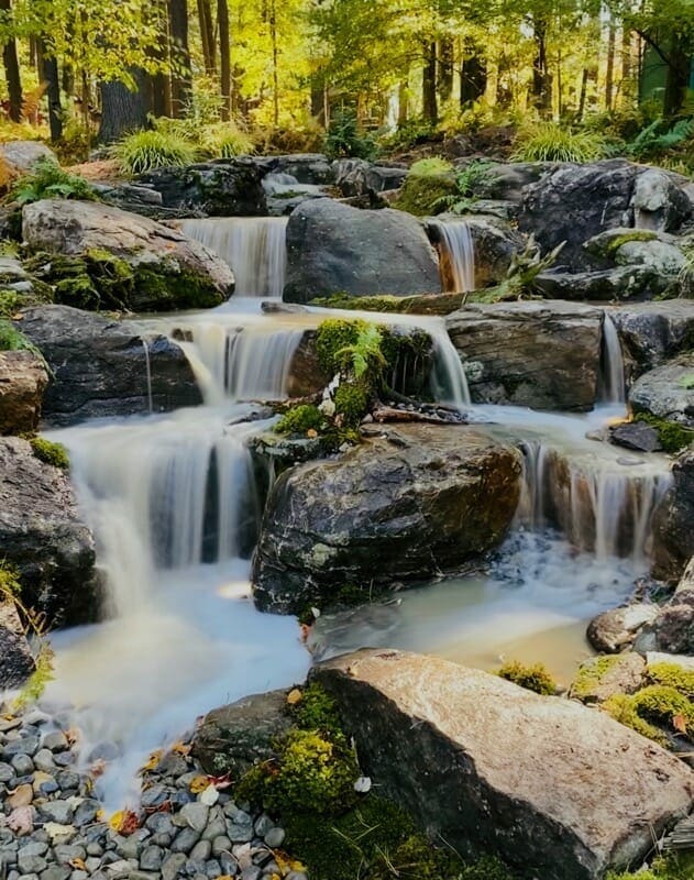 Multi-tier pondless waterfall running through a shaded woodland setting