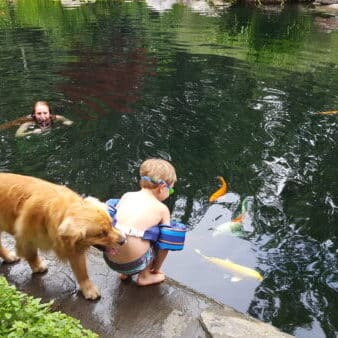 Child and golden retriever watching koi from the stone edge of a pond