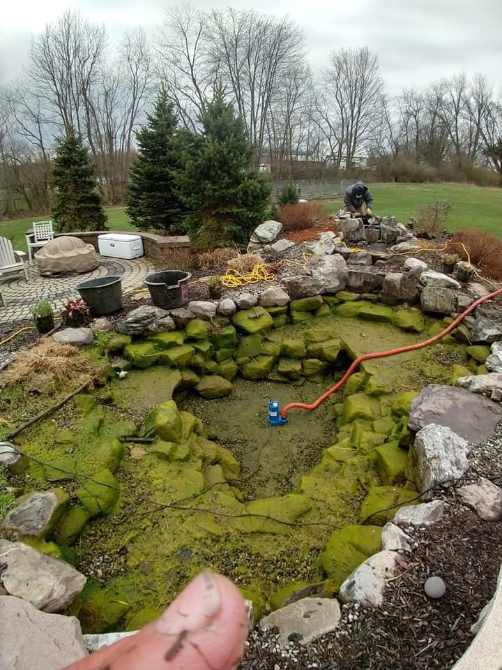 Pond coated in string algae and leaf debris before a spring cleanout