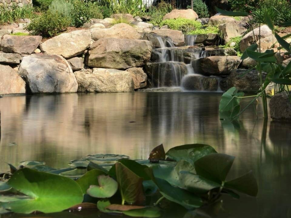 Dalotti-Pond