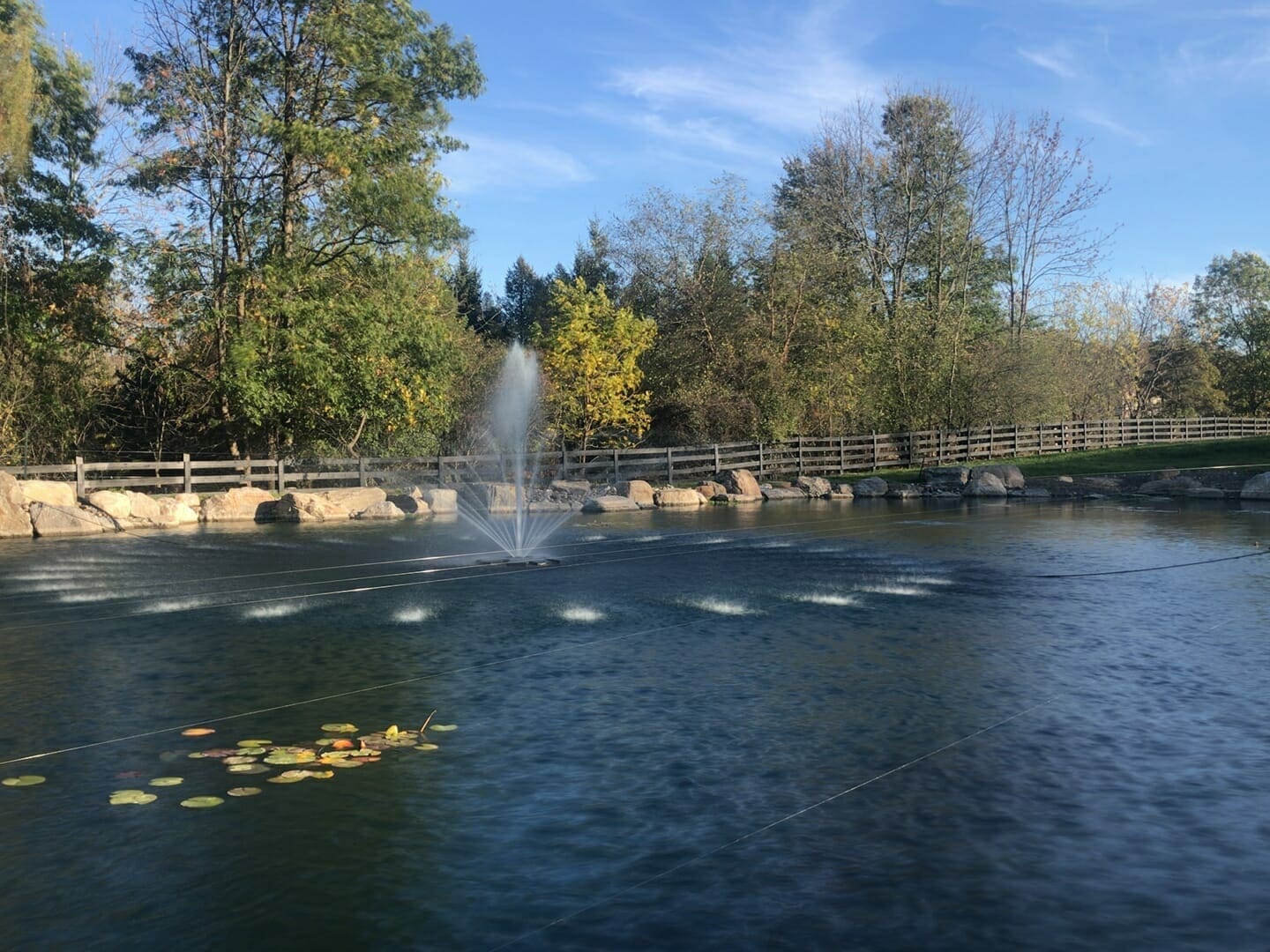 Large Farm Pond (Octavia) - Photo 6