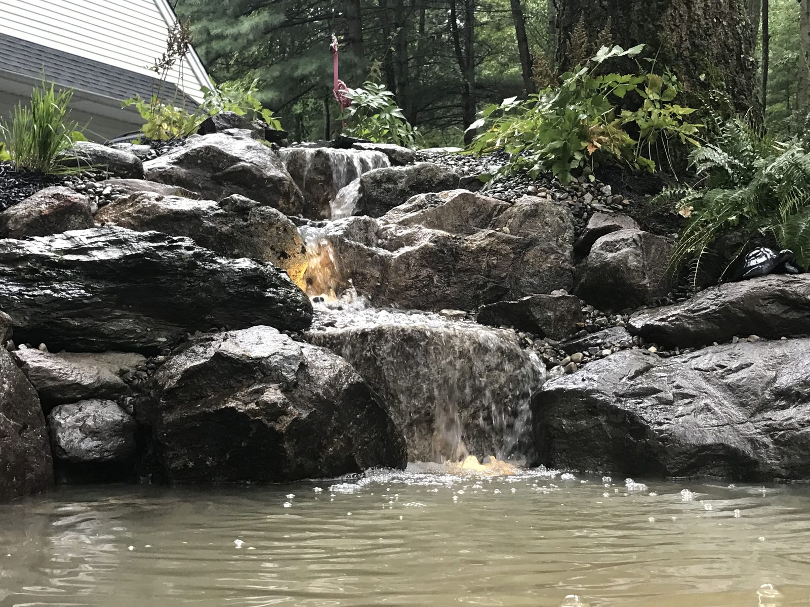 An 8' x 11' koi pond built and maintained by Garden State Koi in West Milford, NJ