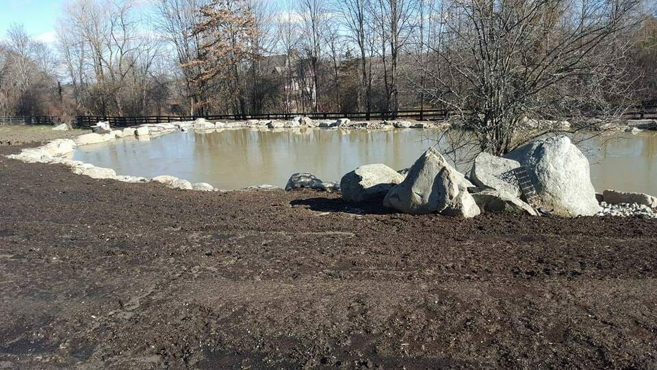 Large Farm Pond (Octavia) - Photo 5