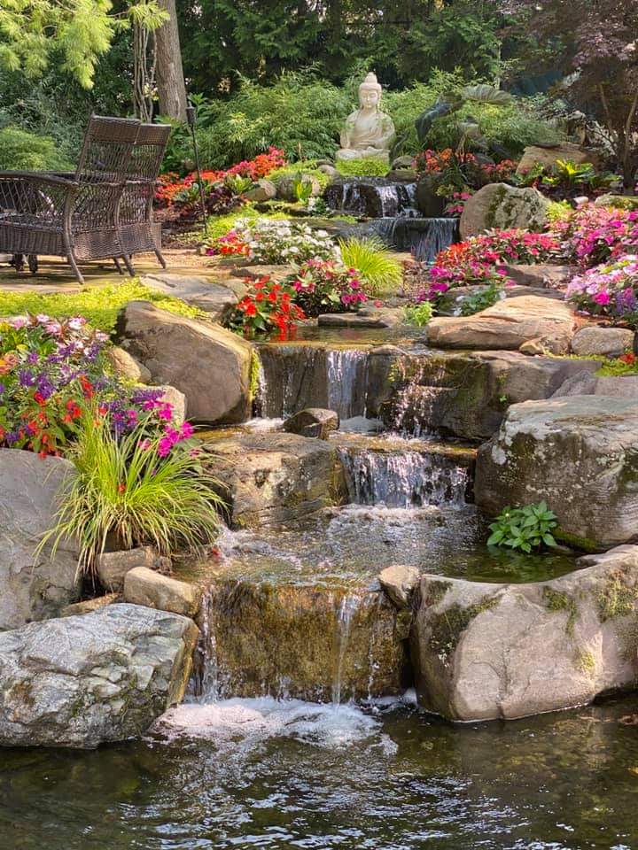 Backyard koi pond design with a layered rock waterfall and lush plantings
