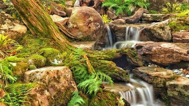 Pondless-Waterfall(1) — near Warren, NJ