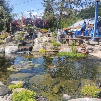 Serenity Pond