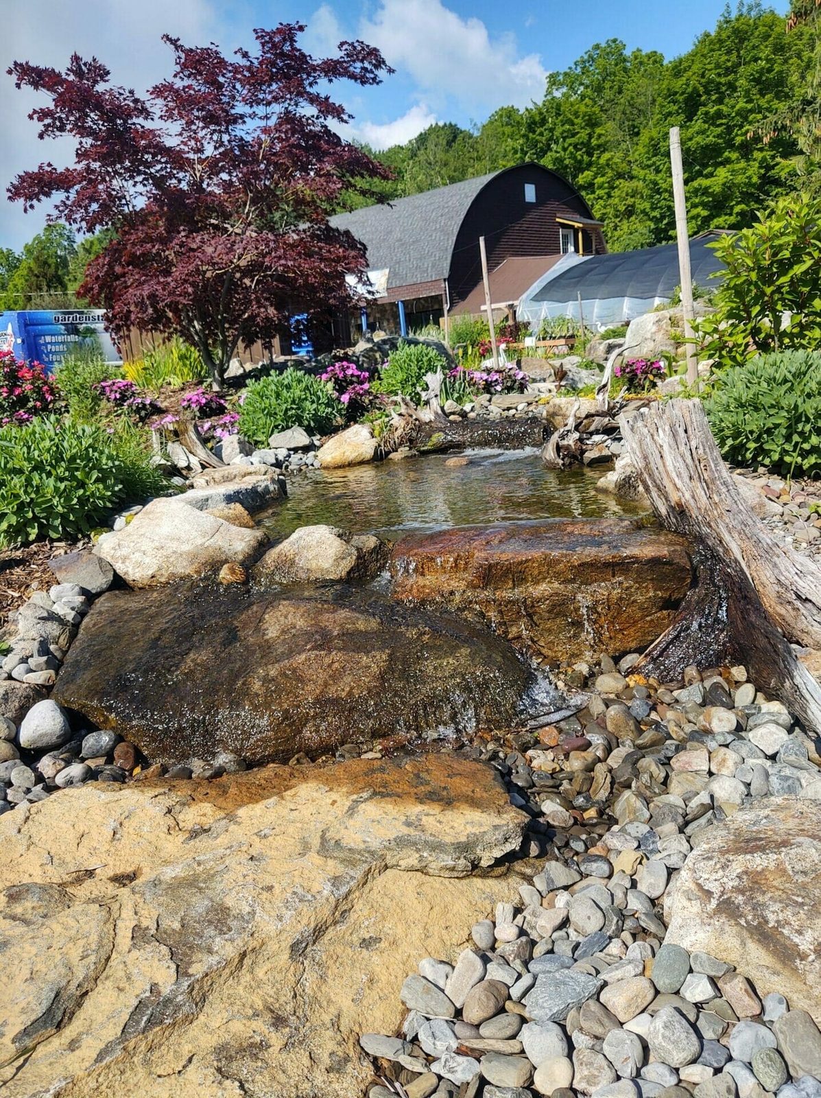 Oasis Pondless