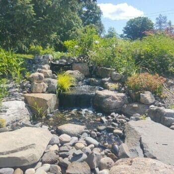 Bliss Pondless