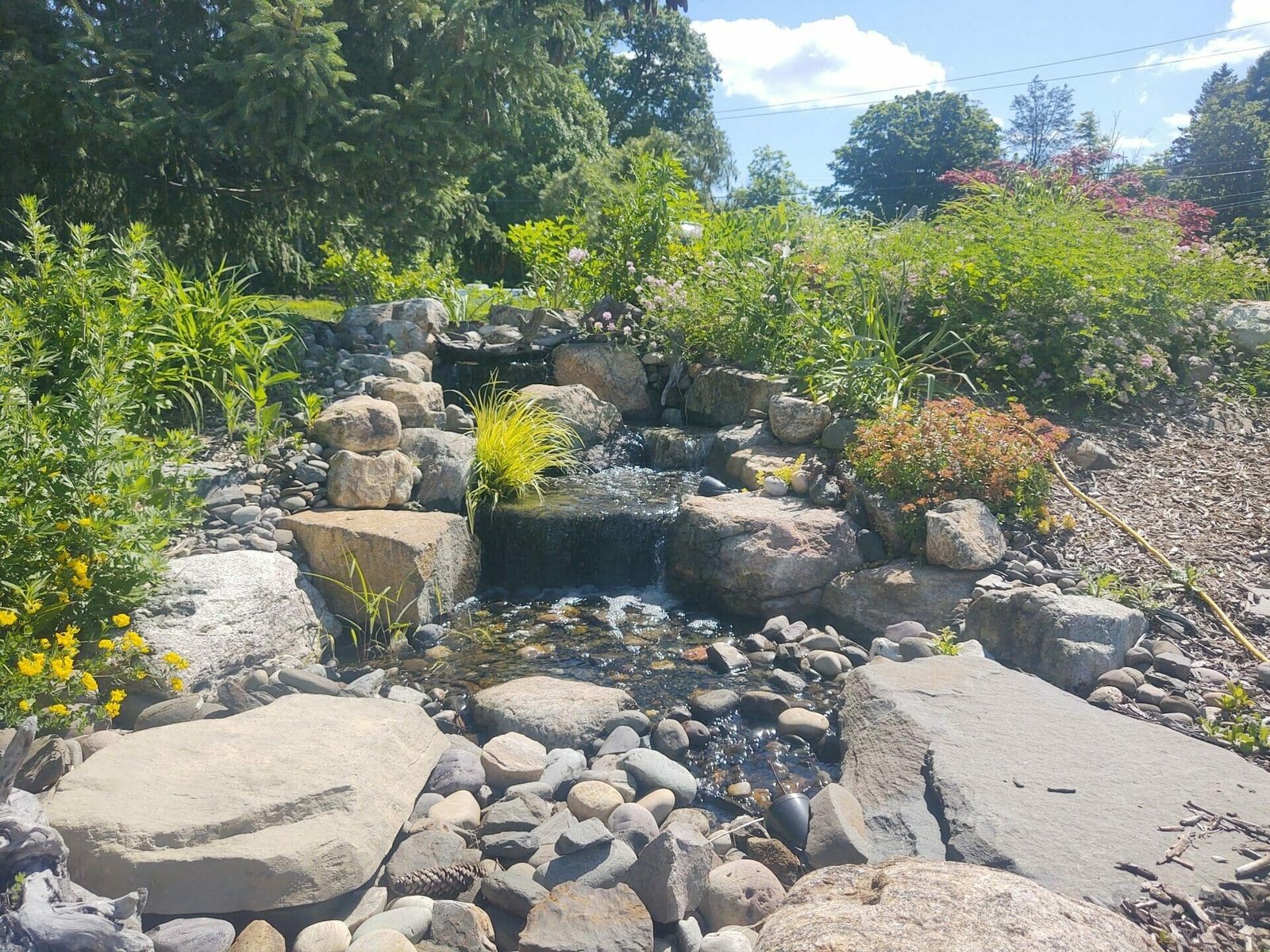 Bliss Pondless