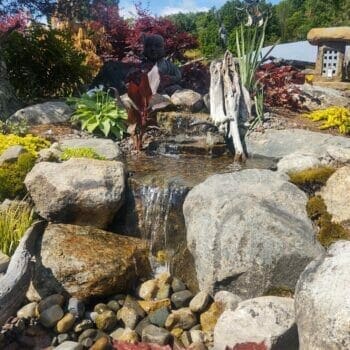 Zen Pondless