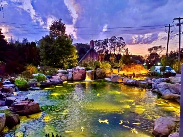 Recreational pond project 15