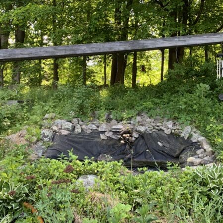 11′ x 16′ Pond with Waterfall - Photo 2