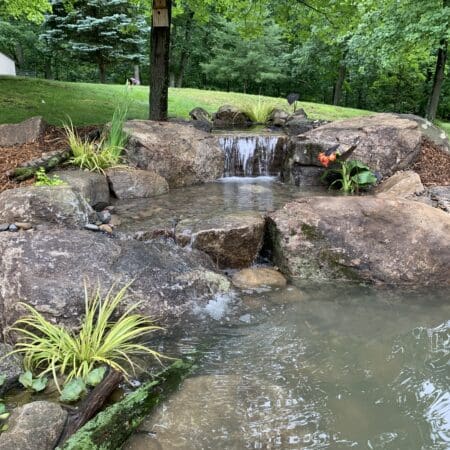 11′ x 16′ Pond - Photo 12