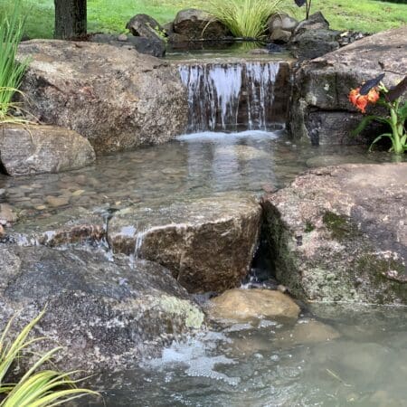 11′ x 16′ Pond - Photo 17