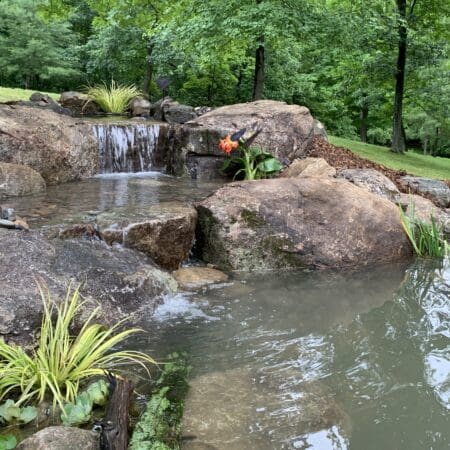 11′ x 16′ Pond - Photo 14