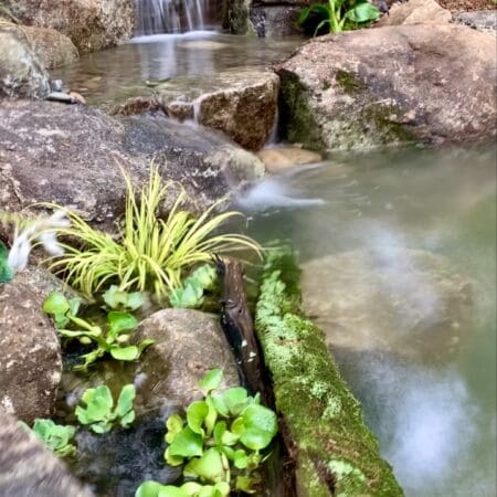11′ x 16′ Pond - Photo 15