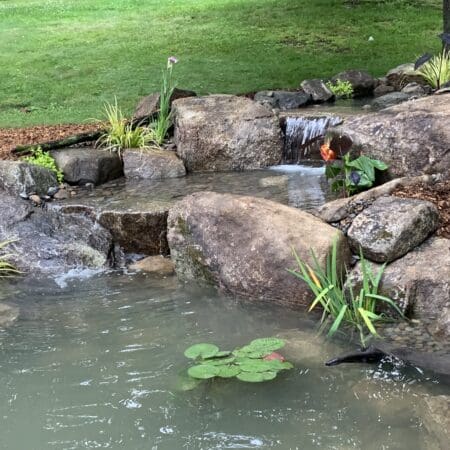 11′ x 16′ Pond - Photo 11