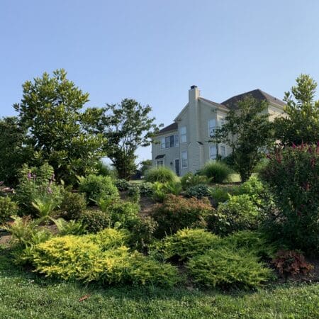 Pondless Waterfall (Delaware County) - Photo 2