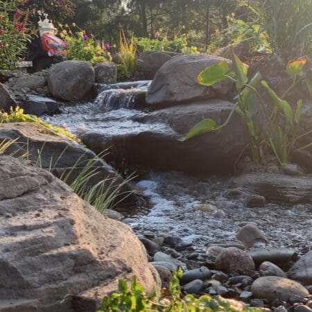 Dog Pond (Florida, NY) - Photo 10