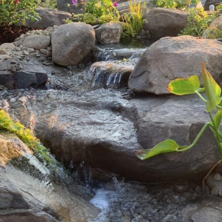 Dog Pond (Florida, NY) - Photo 7