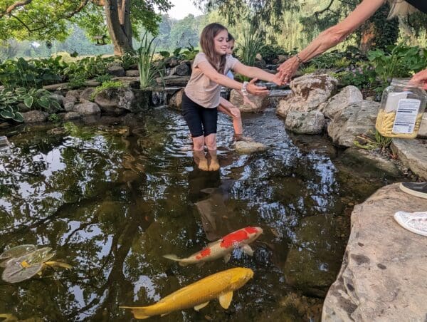 Recreational pond project 5