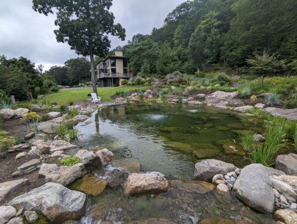 Recreational pond project 19