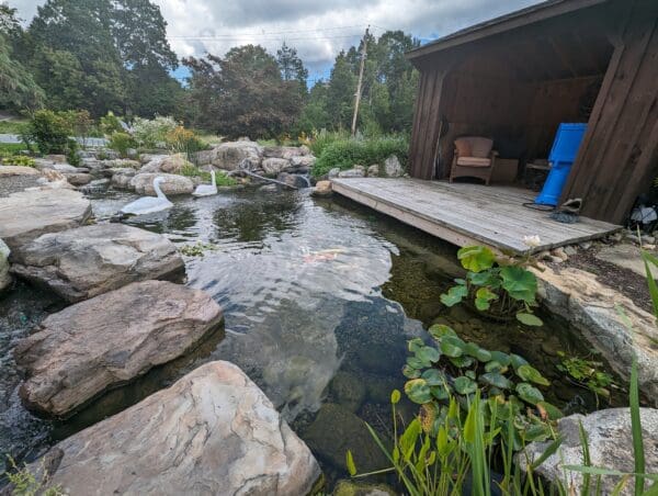Recreational pond project 17