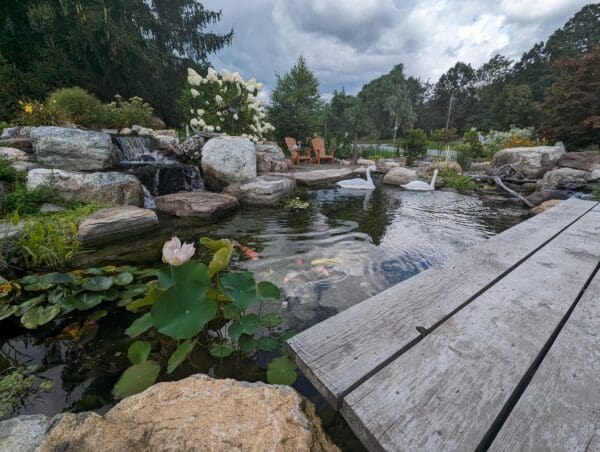 Recreational pond project 6