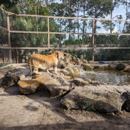 McCarthy’s Wildlife Sanctuary - Photo 10