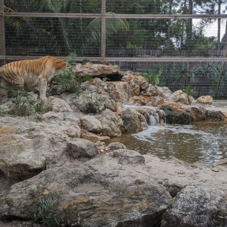 McCarthy’s Wildlife Sanctuary - Photo 5
