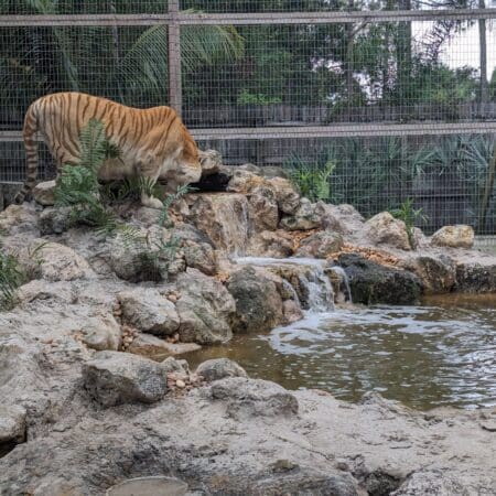 McCarthy’s Wildlife Sanctuary - Photo 6