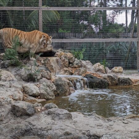 McCarthy’s Wildlife Sanctuary - Photo 3