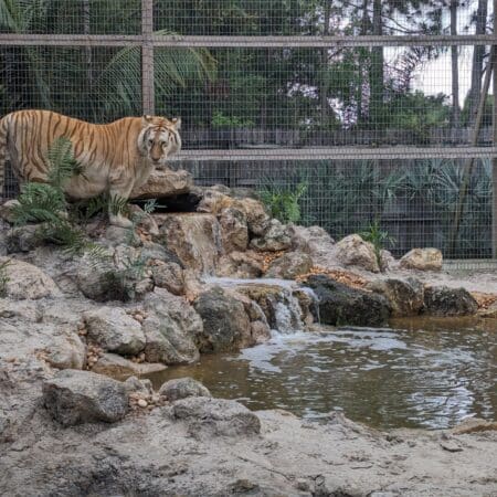 McCarthy’s Wildlife Sanctuary - Photo 9