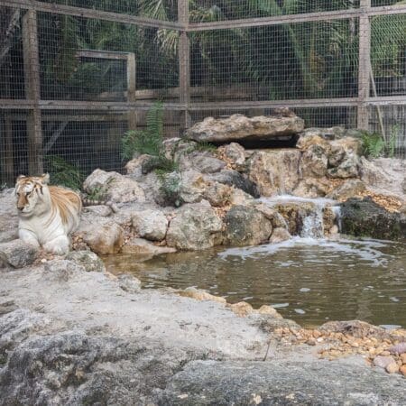 McCarthy’s Wildlife Sanctuary - Photo 7