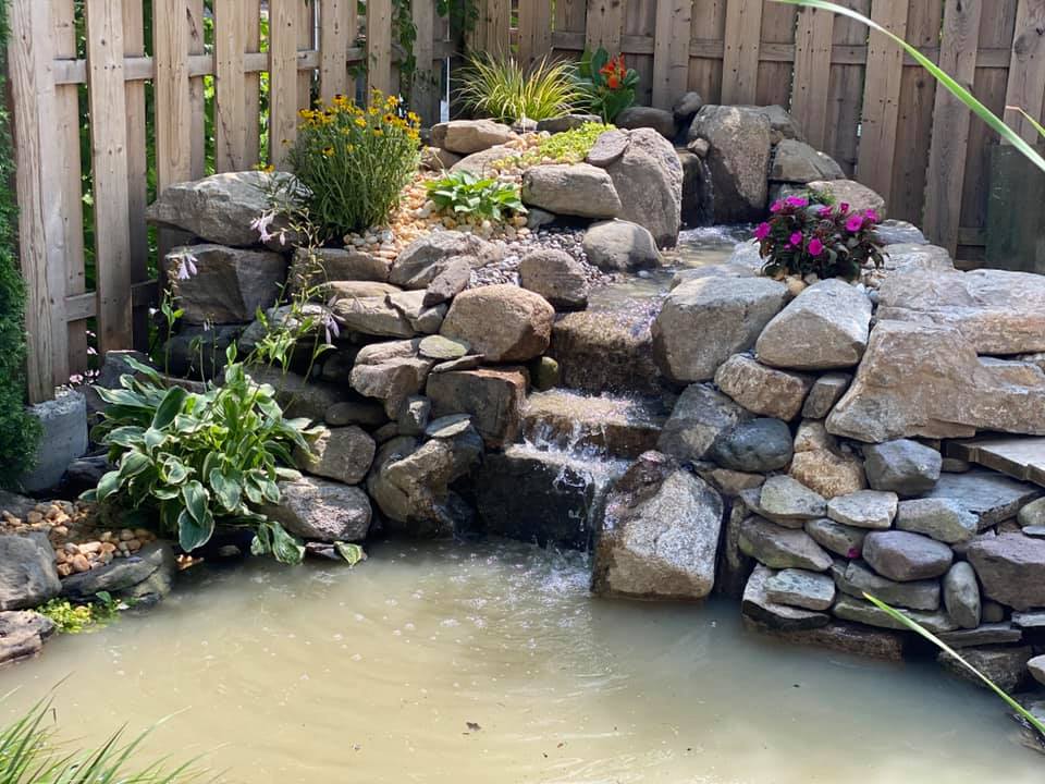 Renovated pond with clear water after troubleshooting and repairs