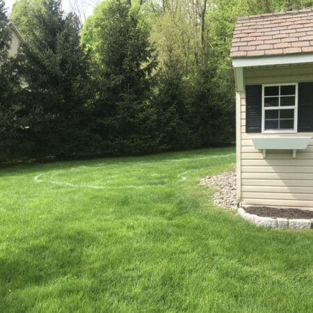 13×18 Pond - Photo 2