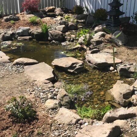 8×11 Pond with Intake Bay - Photo 4