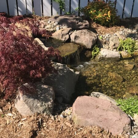 8×11 Pond with Intake Bay - Photo 3