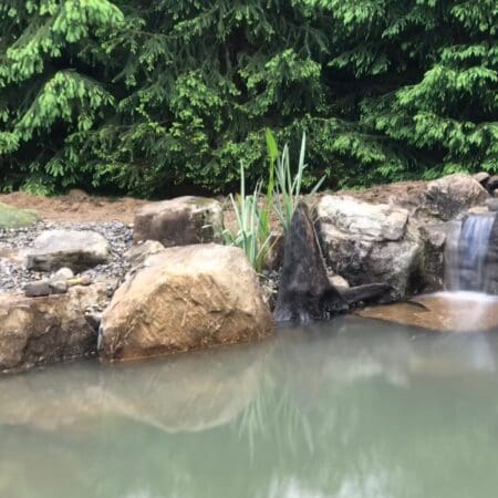 13×18 Pond - Photo 20