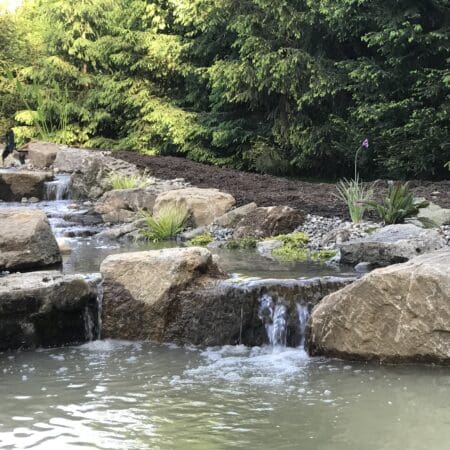 13×18 Pond - Photo 29