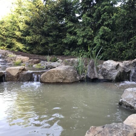 13×18 Pond - Photo 31