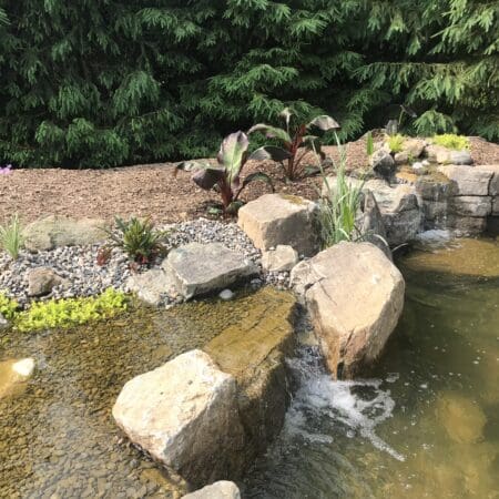 13×18 Pond - Photo 38