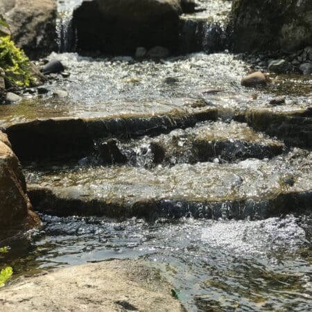 13×18 Pond - Photo 39