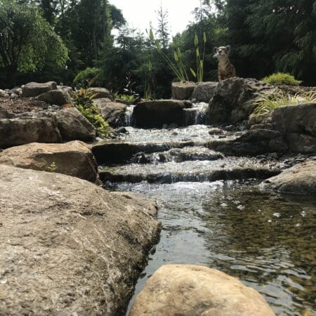13×18 Pond - Photo 40